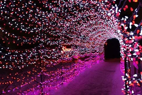 AYOJAN EVENTS AND SERVICES