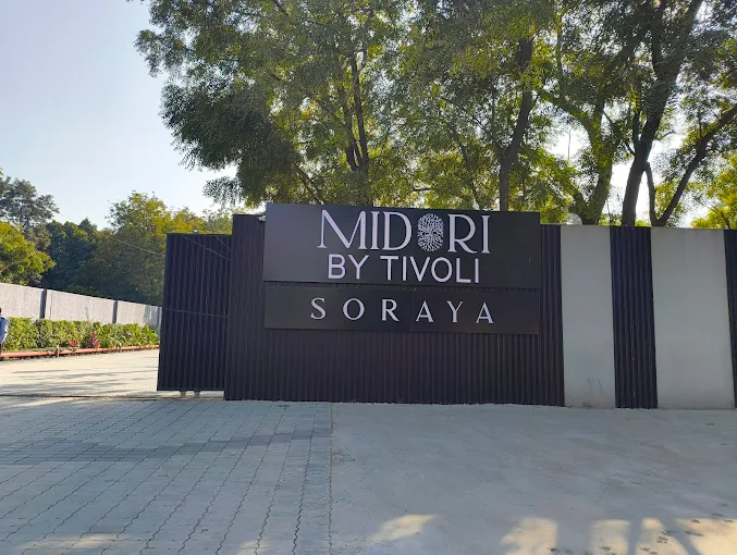 MIDORI BY TIVOLI