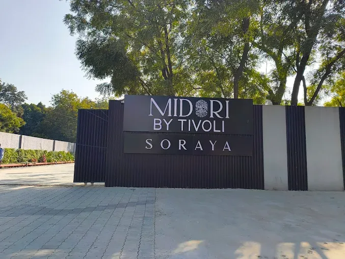 MIDORI BY TIVOLI