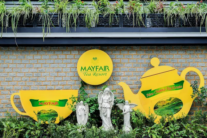 Mayfair Tea Resort